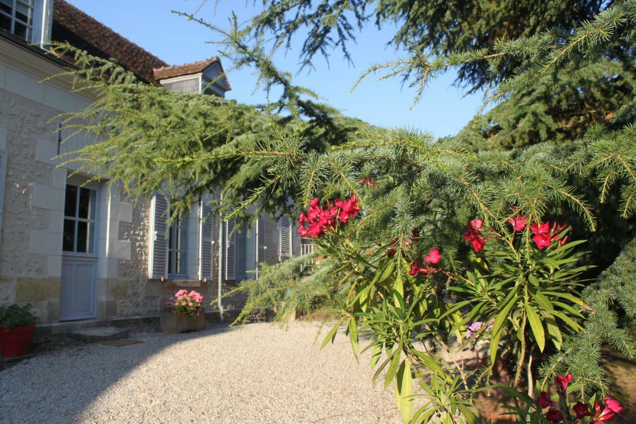 Bella Simonetta Bed and Breakfast Francueil Buitenkant foto